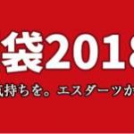 エスダーツ福袋2019_1